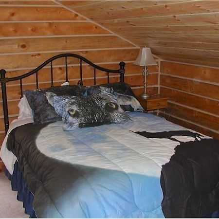 Papoose Villa Custer Cameră foto
